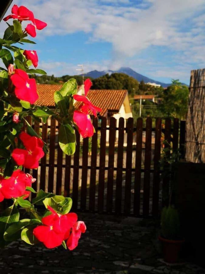 Apartamento Il Tiglio Viagrande Exterior foto